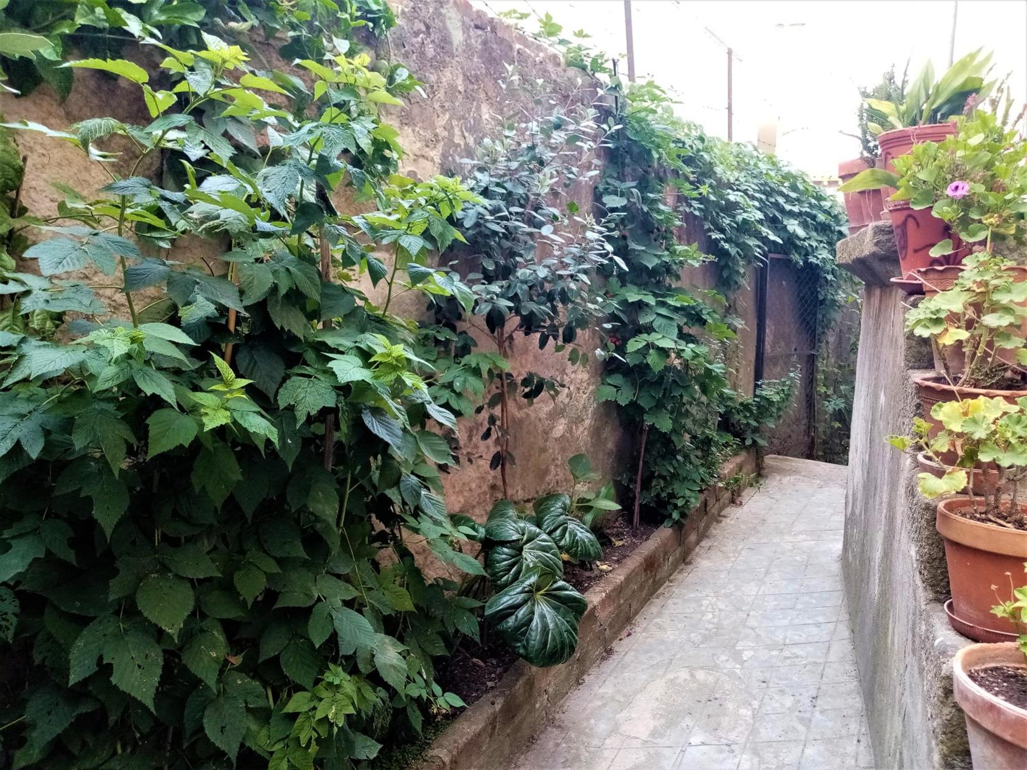 Casa Da Judiaria Velha Ap Viseu Exterior foto